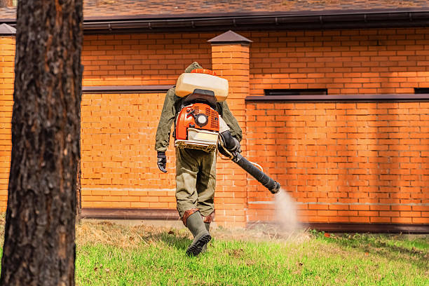 Bed Bug Clearance Verification and Documentation in Dimmitt